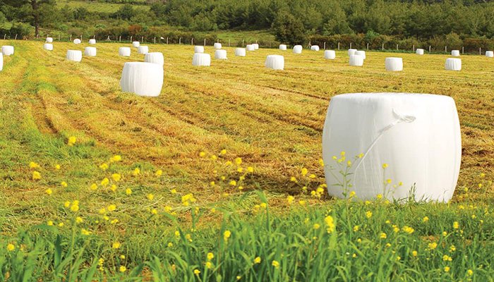 blog ultimate guide to silage wrap image 2