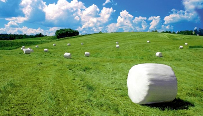 blog ultimate guide to silage wrap image 6