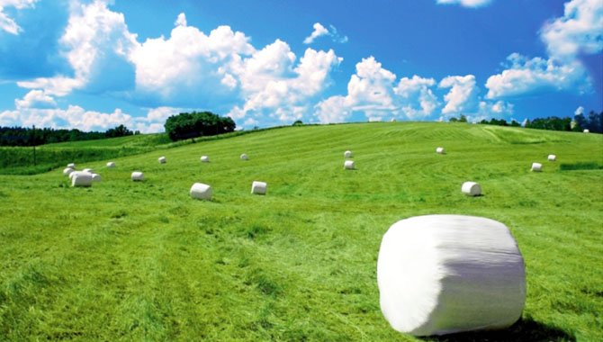 Silage Bale Wrap