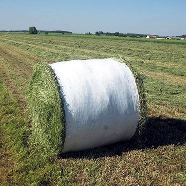 net replacement film