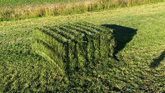 agricultural-Recycle