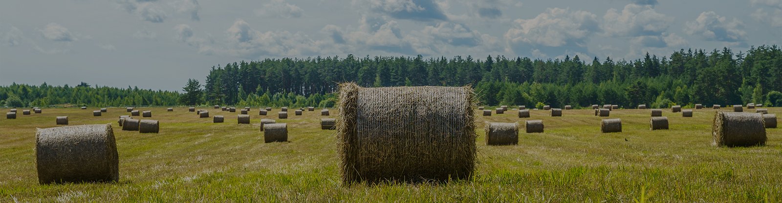 bale net wrap banner