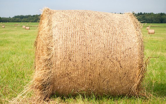 bale net wrap content block 1