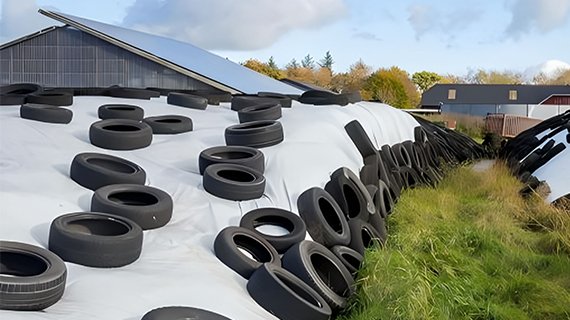 silage cover image 1-1