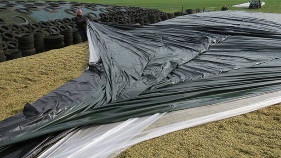 silage cover image 3
